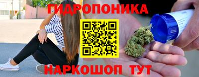 индика Беслан