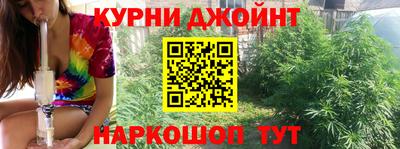 индика Беслан