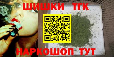 индика Беслан