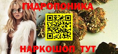 Альфа ПВП Бийск