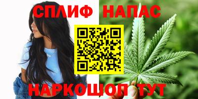 гашик Берёзовский