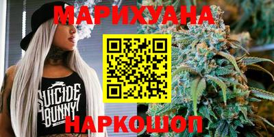 Альфа ПВП Бийск