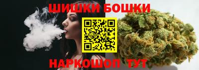 индика Беслан