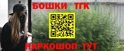 шишки Гай