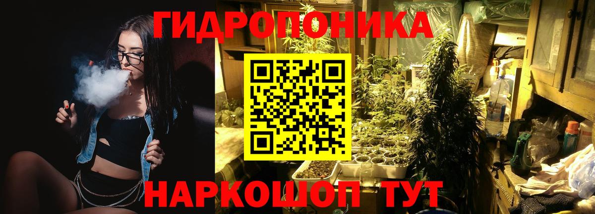 Канабис ГИДРОПОН Касимов
